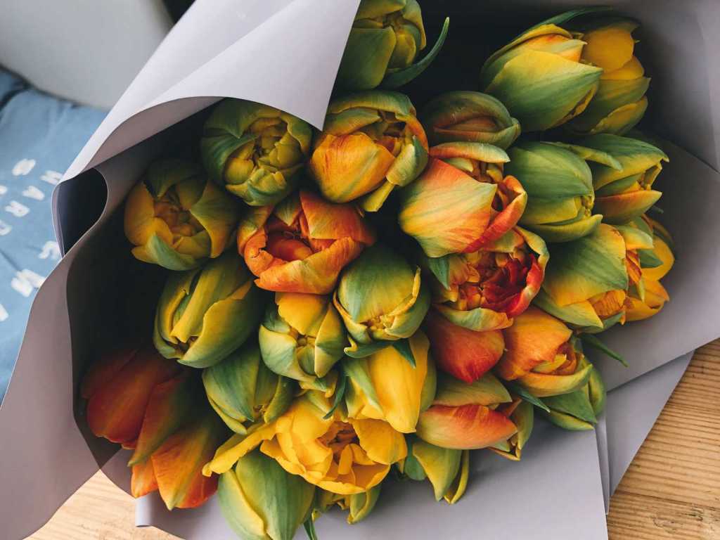 Everything about spring&nbsp;flowers